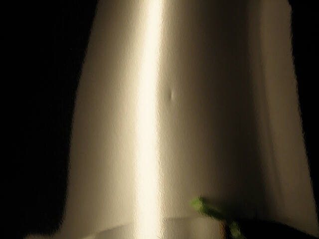 施行前
